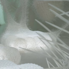 Installation “Der dritte Raum. Photo by Oliver Sachs